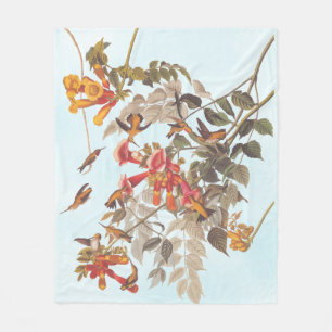 Audubon's Tropical Ruby Throated Hummingbird Fleecefilt