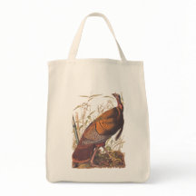 Audubon's Vild Turkey Game Fowl på hösten