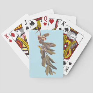 Audubon's Yellowhalsdarfågel vid Träd Gren Casinokort