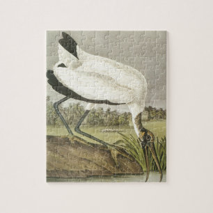 Audubonss Wood Stork Pussel