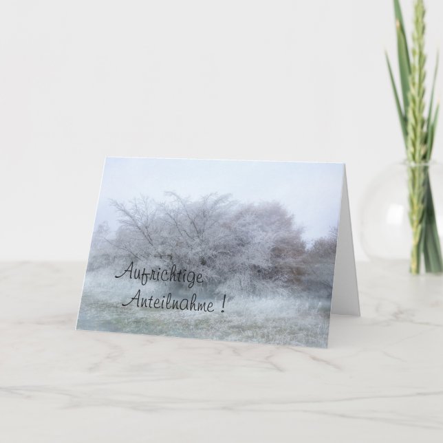 Aufrichtige Anteilnahme  mit Winterbild Kort (Framsida)