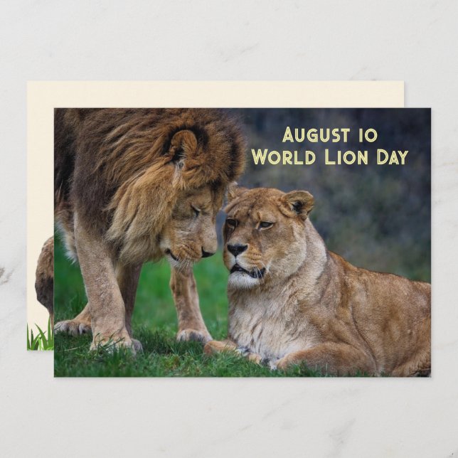 Aug 10, World Lion Day 5 x 7 card Julkort (Fram/baksida)