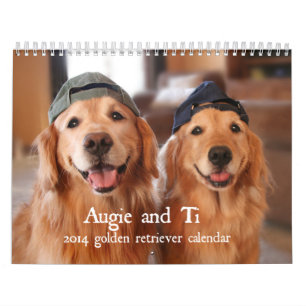 Augie och Ti 2014 guld- Retrieverkalender Kalender