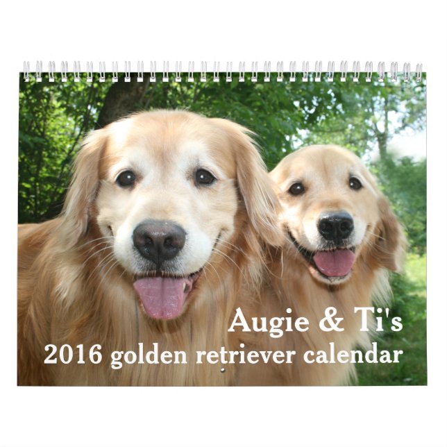 Augie och Ti's 2016 Golden Retriever Hund Kalender (Omslag)