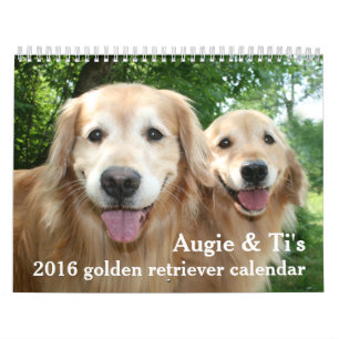 Augie och Ti's 2016 Golden Retriever Hund Kalender