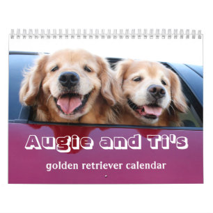 Augie och tis 2017 guld- Retriever Kalender