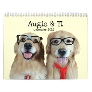 Augie & tis 2012 guld- Retrieverkalender Kalender