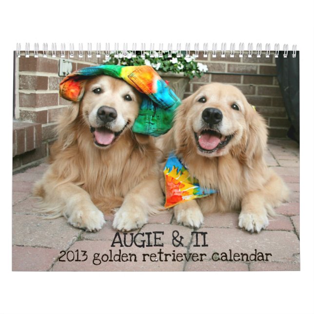 Augie & tis 2013 guld- Retrieverkalender Kalender (Omslag)