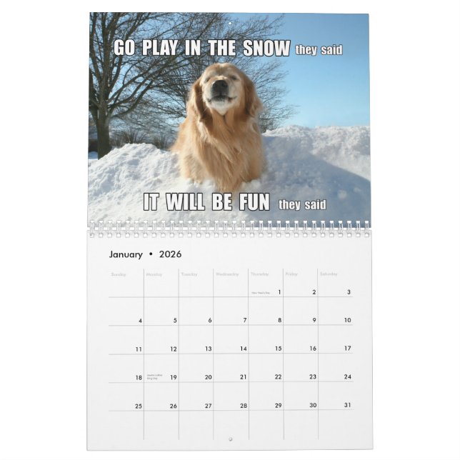 Augie & tis skämt och Memes 2015 guld- Retriever Kalender (Jan 2026)