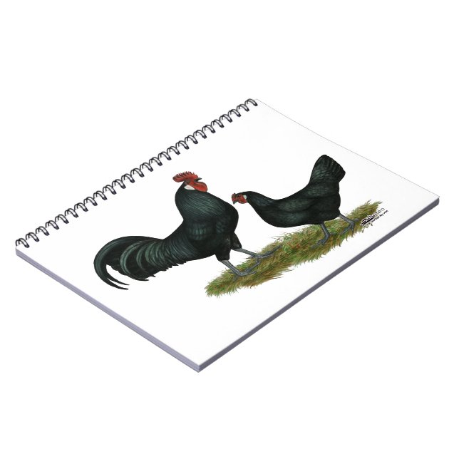 Augsburger Chickens Anteckningsbok (Vänstra Sidan)