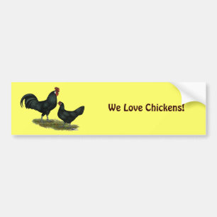 Augsburger Chickens Bildekal