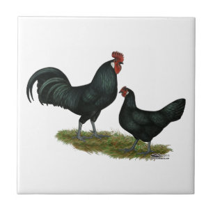 Augsburger Chickens Kakelplatta