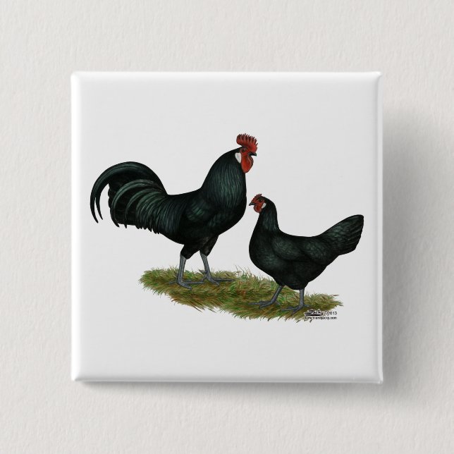 Augsburger Chickens Knapp (Framsida)