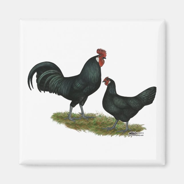 Augsburger Chickens Magnet (Framsidan)