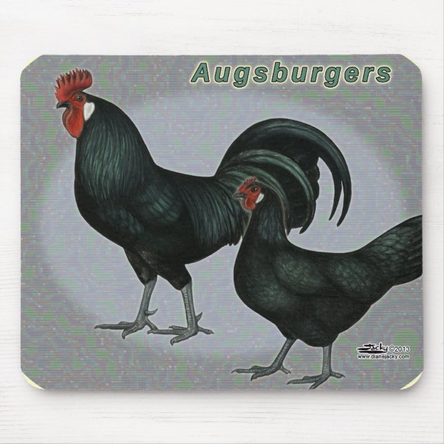 Augsburger Fowl Musmatta (Framsidan)