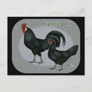Augsburger Fowl Vykort