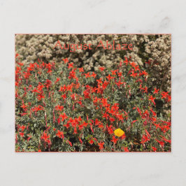 August Ablaze-vykort Vykort