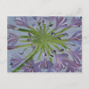 August Agapanthus Vykort
