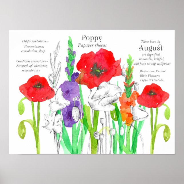 August Birthday Poppies Gladiolus Birtud Flower Poster (Framsidan)