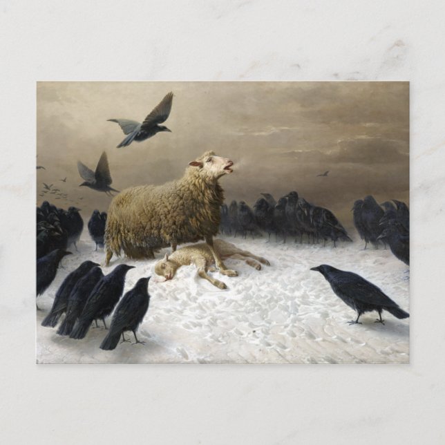 August Friedrich Albrecht Schenck Anguish Vykort (Framsida)