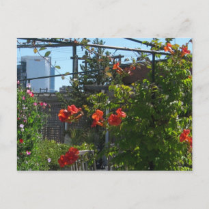 August Garden Postcard Vykort