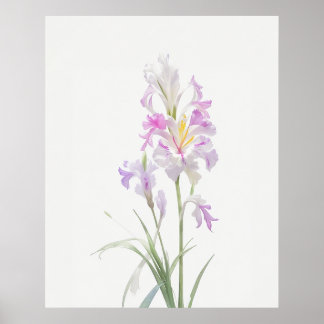 August Gladiolus Birth Flower Poster