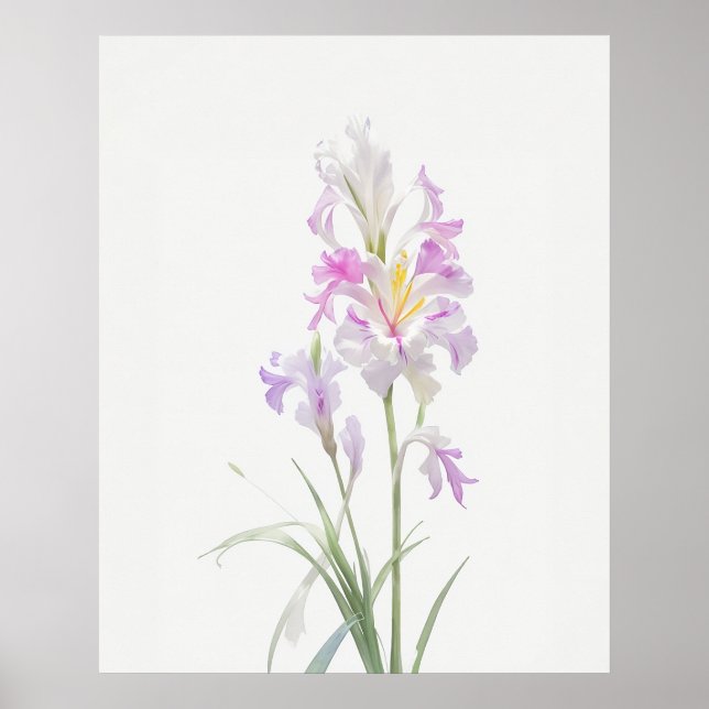August Gladiolus Birth Flower Poster (Framsidan)