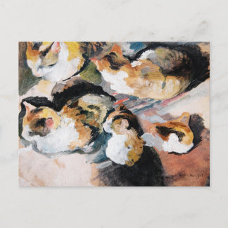 August Macke's Katzenstudien (Studie av en katt) Vykort