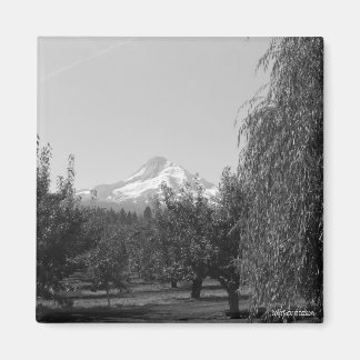 August Mt Huva Magnet