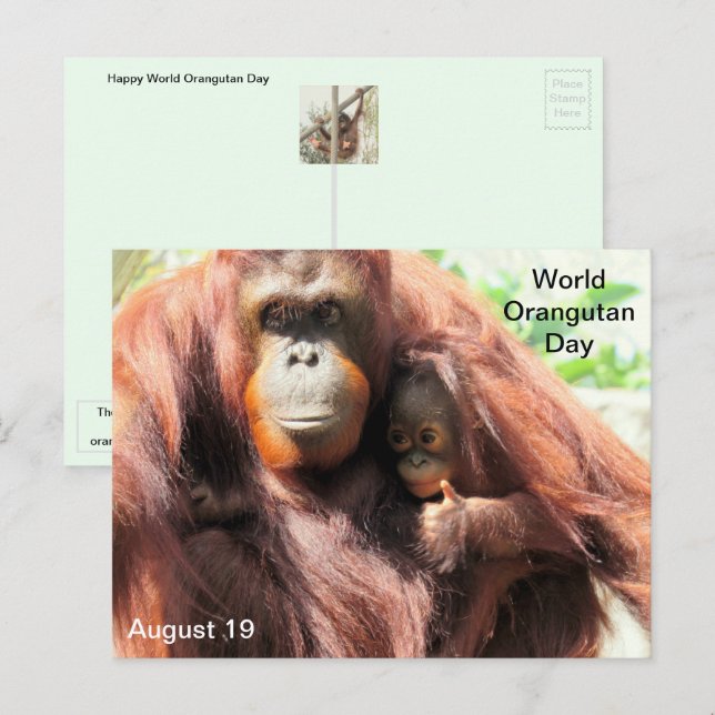 Augusti 19 - World Orangutan Day Postcard Helg Vykort (Fram/baksida)