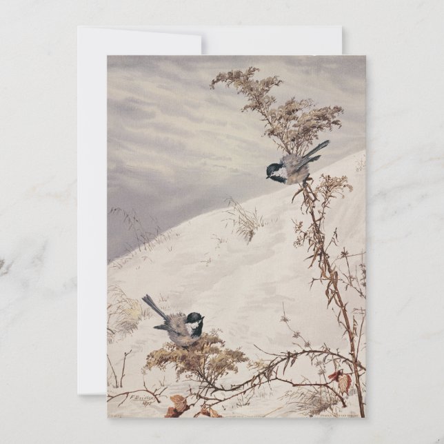 Augusti | Fidelia Bridges (Framsida)