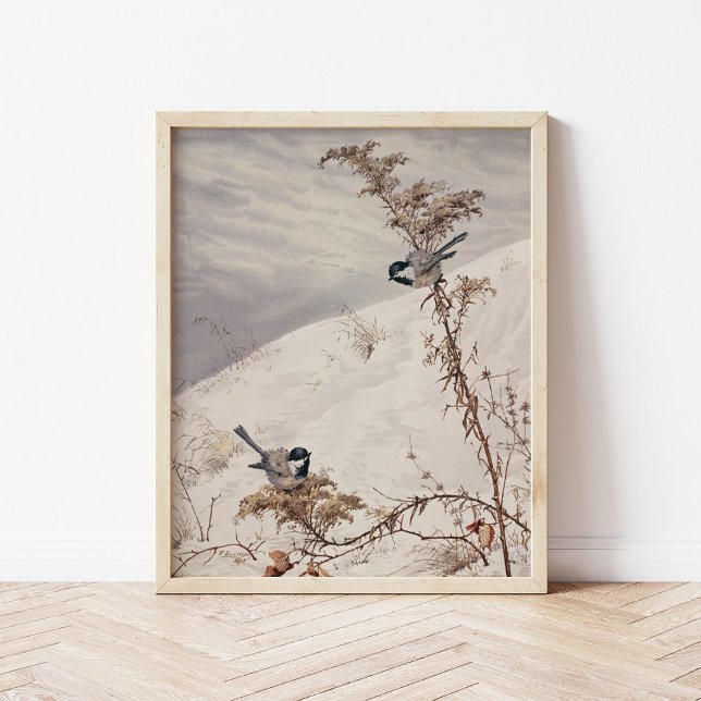 Augusti | Fidelia Bridges Poster (Skapare uppladdad)