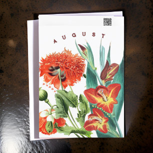 Augusti Flowers Gladiolus & Poppy   Vykort