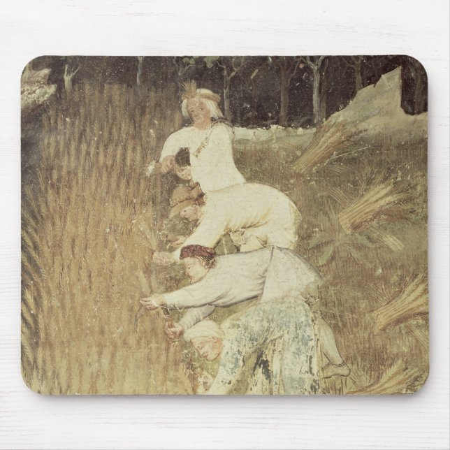 Augusti Musmatta (Framsidan)