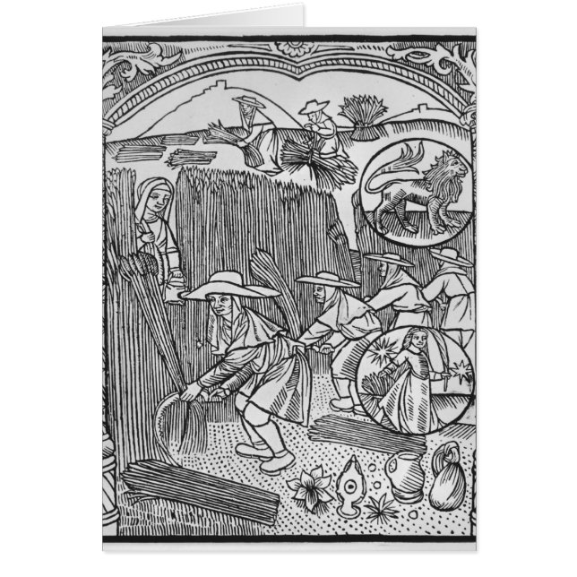 Augusti plockning, Leo Hälsningskort (Framsidan)