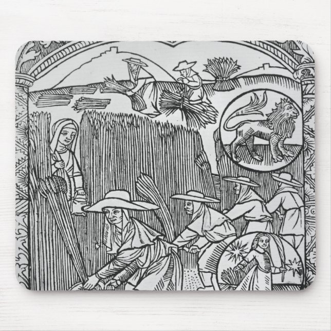 Augusti plockning, Leo Musmatta (Framsidan)