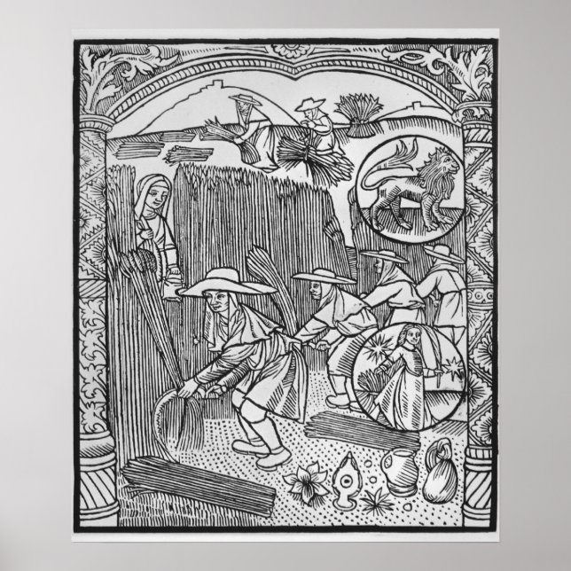 Augusti, skörd, Leo Poster (Framsidan)