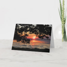 Augusti soluppgång i Nelson Park Kort