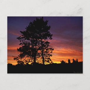 Augusti Sunrise-vykort Vykort
