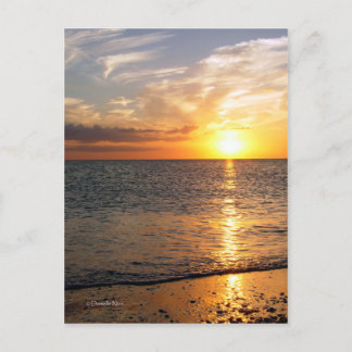 Augusti Sunset-vykort Vykort