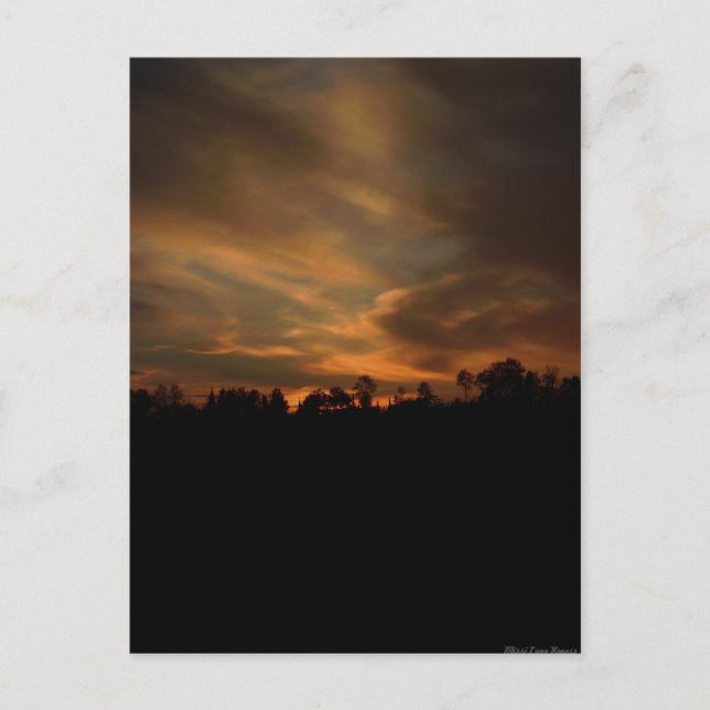 Augusti Sunset-vykort Vykort (Framsida)