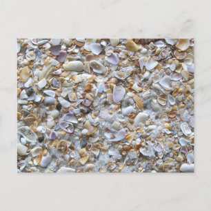 Augustine Beach Sand. Tiny Snäckas Florida Vykort