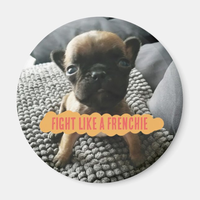 Augustus "Fight as as a Frenchie Pin" Magnet (Framsidan)