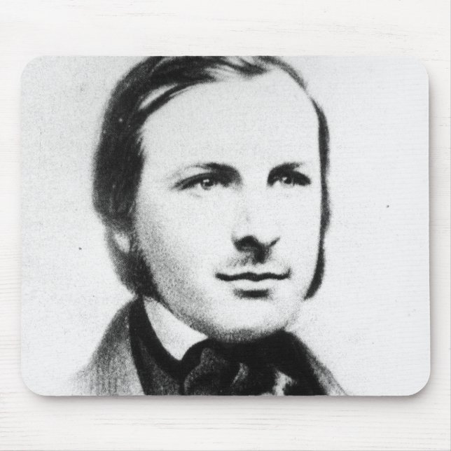 Augustus Pugin Musmatta (Framsidan)