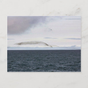 Auklet-molnet, Kasatochi-ön Vykort