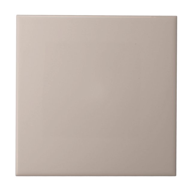 Auktoriserad Beige Square Kitchen and Bathroom Kakelplatta (Framsidan)