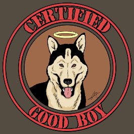Auktoriserad Bra Boy T Shirt