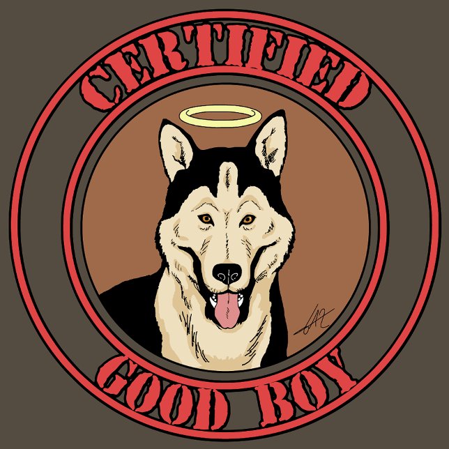Auktoriserad Bra Boy T Shirt (Skapare uppladdad)