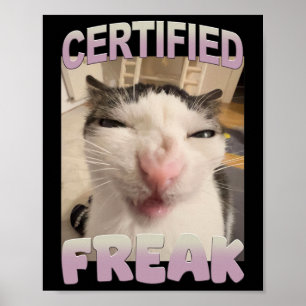 Auktoriserad Freak Cat Meme Funny Pet Humor Poster