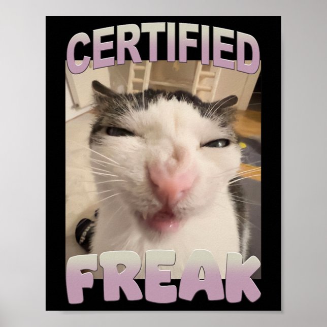 Auktoriserad Freak Cat Meme Funny Pet Humor Poster (Framsidan)